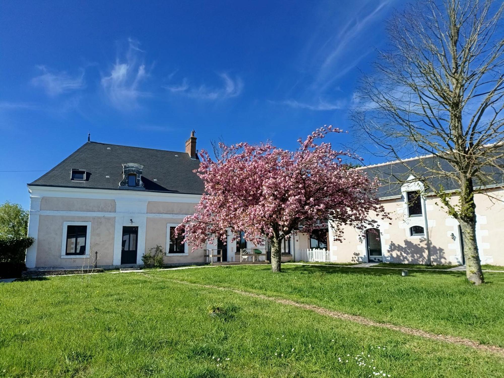 Les Chambres D'Emma Le Liege Exterior photo